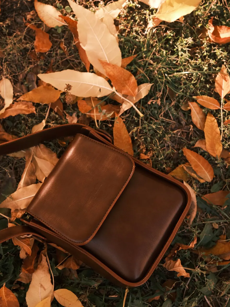Une besace en cuir brun posée sur des feuilles d’automne