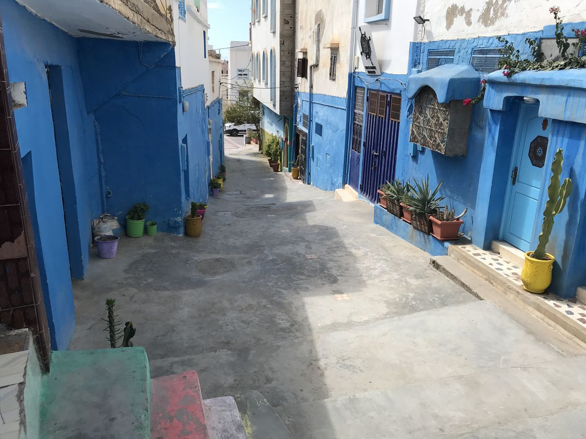 Ruelle de Taghazout bordée de maisons aux murs bleus et de plantes en pots